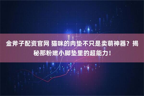 金斧子配资官网 猫咪的肉垫不只是卖萌神器？揭秘那粉嫩小脚垫里的超能力！