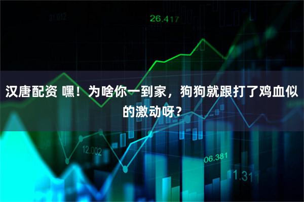 汉唐配资 嘿！为啥你一到家，狗狗就跟打了鸡血似的激动呀？