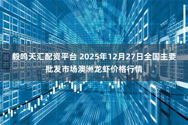 毅鸣天汇配资平台 2025年12月27日全国主要批发市场澳洲龙虾价格行情