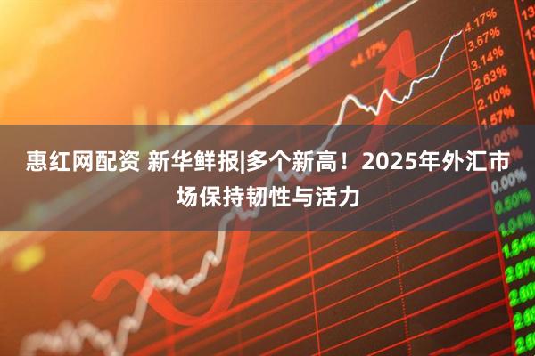 惠红网配资 新华鲜报|多个新高！2025年外汇市场保持韧性与活力