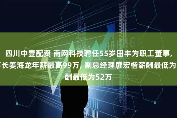 四川中壹配资 南网科技聘任55岁田丰为职工董事, 董事长姜海龙年薪最高99万, 副总经理廖宏楷薪酬最低为52万
