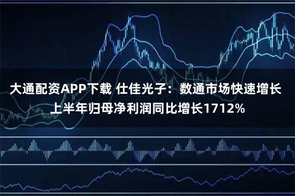 大通配资APP下载 仕佳光子：数通市场快速增长 上半年归母净利润同比增长1712%