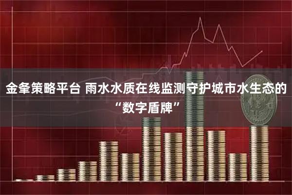 金夆策略平台 雨水水质在线监测守护城市水生态的“数字盾牌”